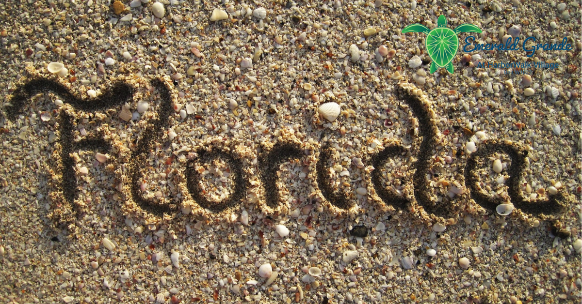 Florida written in the sand with Emerald Grande logo in top right corner